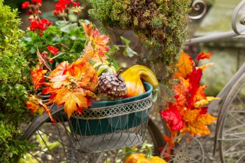 Closeup horizontal photo of old stationary bike basket filled with leaves, pumpkins, and other various autumn objects with green bushes and red flowers in background 