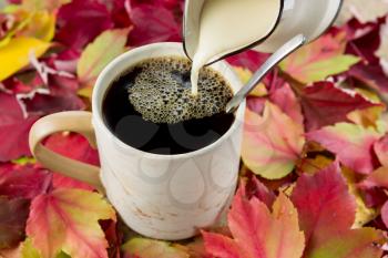 Horizontal photo of cream being poured in fresh black coffee with seasonal autumn leaves surrounding mug 