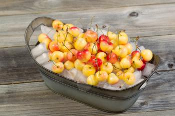 Horizontal photo of fresh Rainier whole cherries on top of ice in a steel tub bucket with rustic wood underneath