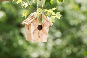 Horizontal view of new wooden birdhouse hanging on tree branch outdoors with blurred out green trees in background during summer day
