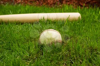 Closeup horizontal photo of old baseball in front of wooden bat on natural grass field 