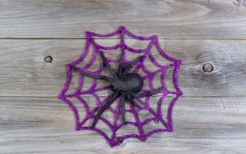 Top view of Halloween symbol with large spider and web on rustic wood
