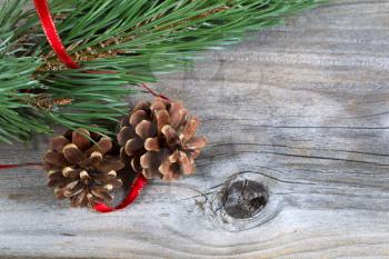Closeup horizontal view of pine cones and fir tree branch plus red ribbon on rustic wood 