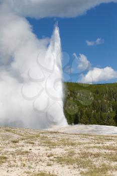 Vertical image of Old Faithful Geyser erupting at full steam with blue sky and clouds in background