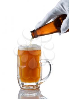 Vertical image of gloved hand pouring amber color beer into glass stein on white with reflection
