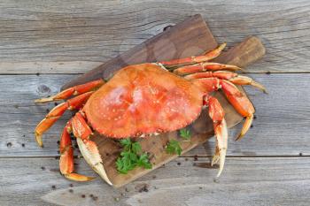 Top view of a steamed Dungeness crab on wooden server board with herbs and spices ready to eat. 