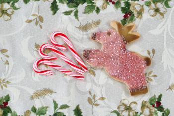 Top view close up of seasonal candy canes and cookie reindeer placed on holiday table cloth  