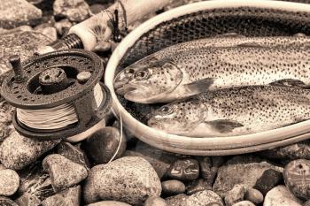 Vintage concept of fly reel, focus on front of reel, with trout, landing net and rocks in background 