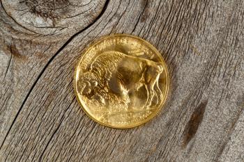 Reverse side of American Gold Buffalo coin, fine gold, on rustic wood. 