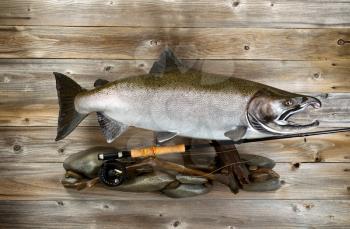 Trophy pacific salmon and fly fishing equipment on rustic wood. 