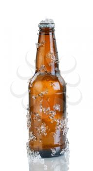 Full beer bottle covered with ice and condensation. Layout in vertical format isolated on white background with reflection.  