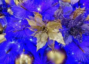 Close up of gold colored poinsettia hanging in white Christmas tree with several other ornaments on blue background. Selective focus in center of flower in filled framed 