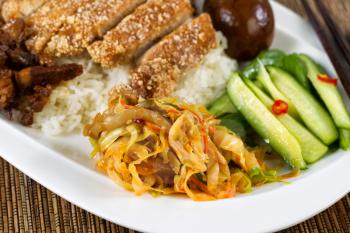 Close up view of fried bread coated pork with rice, egg and vegetables.  Selective focus on front part of plate with cabbage slices.   