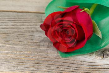 Close up of a single pristine red rose, wrapped in soft green paper, on rustic wood. Valentines day concept. 