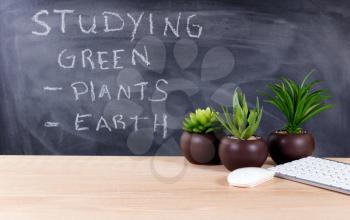 Classroom desktop displaying keyboard, mouse and plants with blackboard, writing about green topics, in background. Selective focus on front part of desk objects.