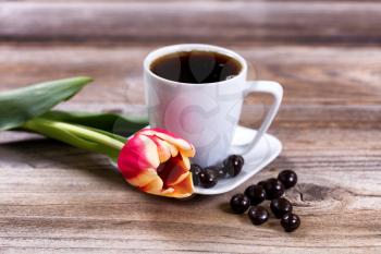 Single tulip in front of a cup of coffee and dark chocolate on rustic wood. Selective focus on front part of flower. 