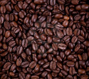 Top view of freshly roasted coffee beans in filled frame format. 