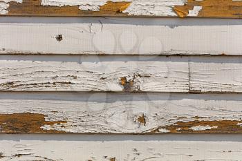 Cracking and peeling paint off of old wood sliding. 