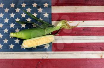 Fresh raw corn on rustic wooden USA flag. Fourth of July holiday concept for United States of America.  