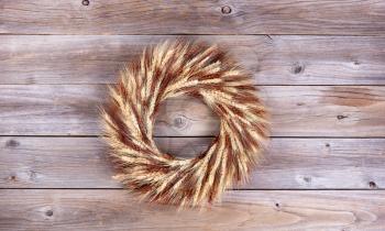 Real dried wheat stalk wreath on rustic wooden boards. 
