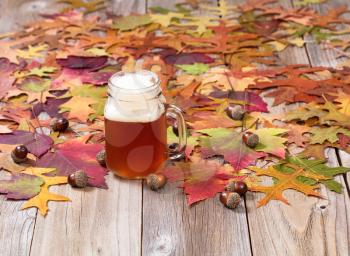 Glass of beer for the autumn season