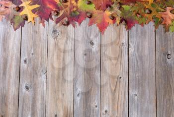 Top border of autumn foliage and acorns on rustic wood with plenty of copy space