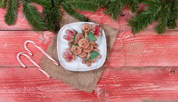 Holiday cookies and candy canes on rustic red wood with fir branches.  