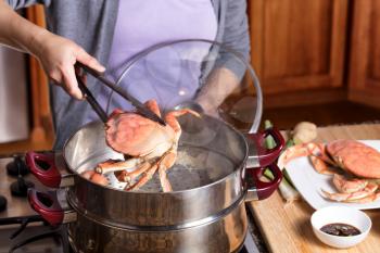 Female hands removing large cooked crab from hot steaming pot. Selective focus on front of crab 