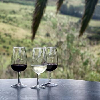 Red and white wine in glasses on dark table outside with tropical palm tree branches in background 
