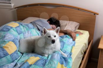 Family dog on guard while girl in bed sleeping 