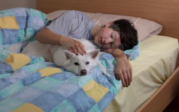 Girl petting family dog sleeping while sleeping in bed 