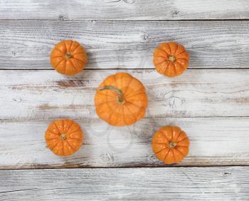 Autumn background with pumpkins on rustic white wood