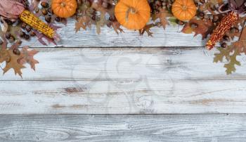 Autumn acorns, corn, pumpkins and faded leaves in top arch border on rustic white wood