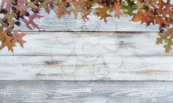 Autumn acorns and faded leaves in top arch border on rustic white wood