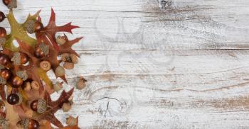 Autumn acorns and faded leaves in flay lay view on rustic white wood with ample copy space