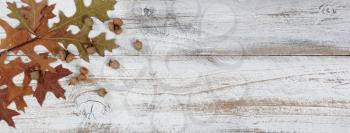 Autumn acorns and faded leaves with branches in flay lay view on rustic white wood with ample copy space