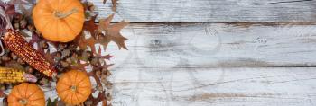 Autumn acorns, corn, pumpkins and faded leaves in flay lay view on rustic white wood with ample copy space