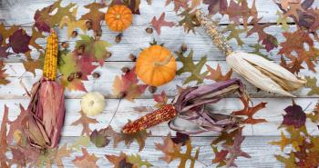 Fading fall foliage with pumpkins, acorns, corn and gourds on rustic white wood 