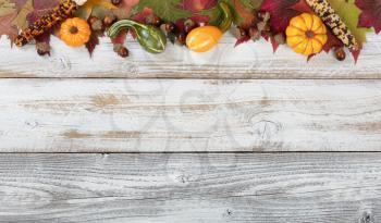Autumn foliage with gourds, corns and acorns for Thanksgiving and fall holidays. Top border background with plenty of copy space