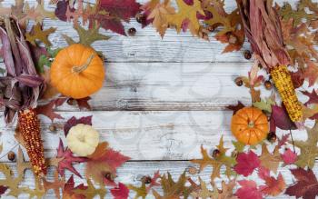 Seasonal Autumn decorations in circular border on rustic white wooden boards 