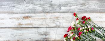 Colorful carnations in lower right corner on white weathered wooden boards 