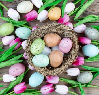 Nest filled with colorful eggs and pink tulips on weathered wooden boards for Easter background  