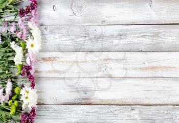 Colorful mixed flowers forming left border on white weathered wooden boards 