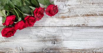 Red roses on rustic white wood in flat lay view
