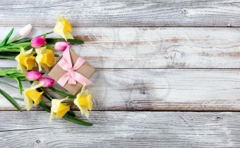 Yellow springtime daffodils and tulips with gift box on white weathered wooden boards 