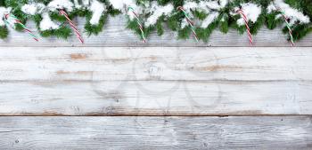 Top border of snow covered Christmas evergreen branches and candy canes on white vintage wood