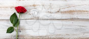 Anniversary background with a single red rose on white rustic wood 