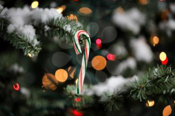 Candy cane ornament hanging in artificial Christmas tree with glowing lights and snow in background 