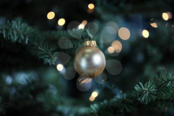 Traditional artificial Christmas tree with gold ball ornament and white lights glowing in background 