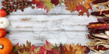 Halloween or Thanksgiving Autumn holiday concept with corn, leaves, pumpkin and acorns in complete border on white rustic wooden background 